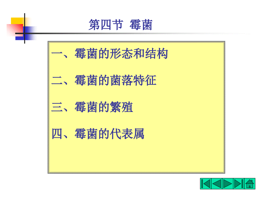 《霉菌的形态和结构》PPT课件_第1页