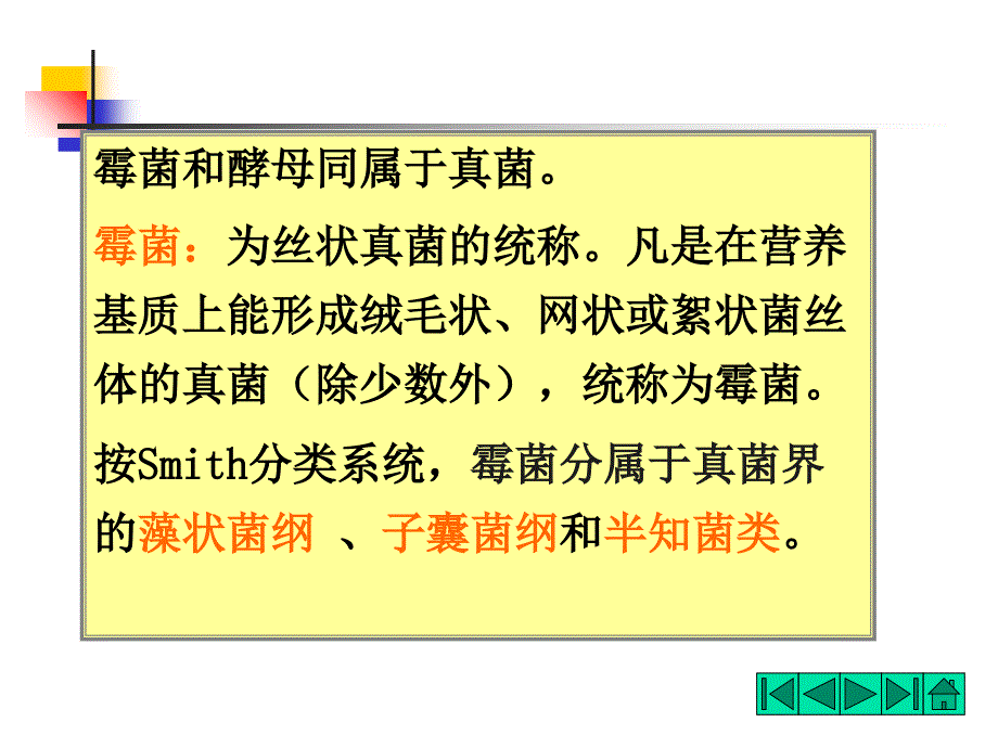 《霉菌的形态和结构》PPT课件_第2页