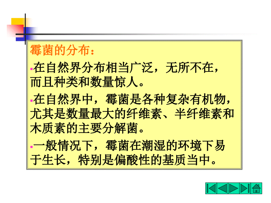 《霉菌的形态和结构》PPT课件_第3页