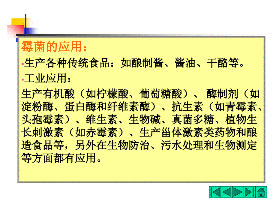 《霉菌的形态和结构》PPT课件_第4页