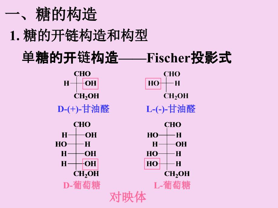 植物结构组分ppt课件_第3页