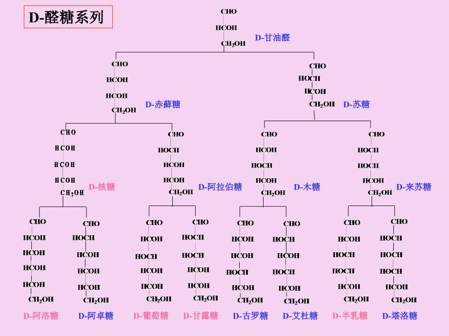 植物结构组分ppt课件_第4页