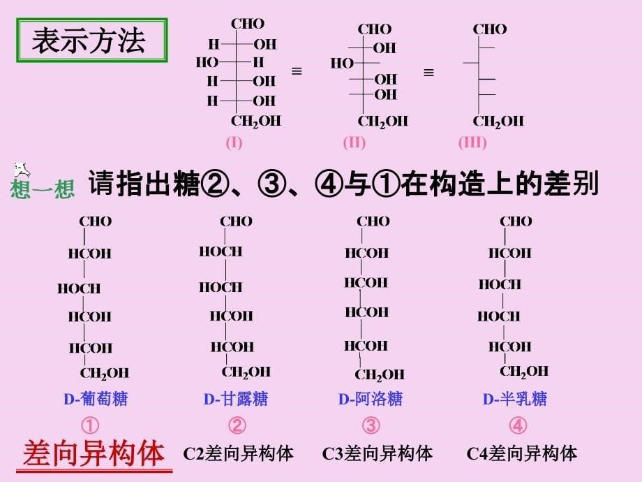 植物结构组分ppt课件_第5页