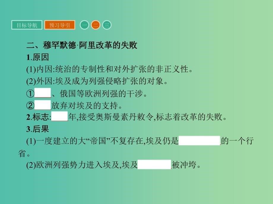 高中历史 第六单元 穆罕默德阿里改革 6.3 改革的后果课件 新人教版选修1.ppt_第5页