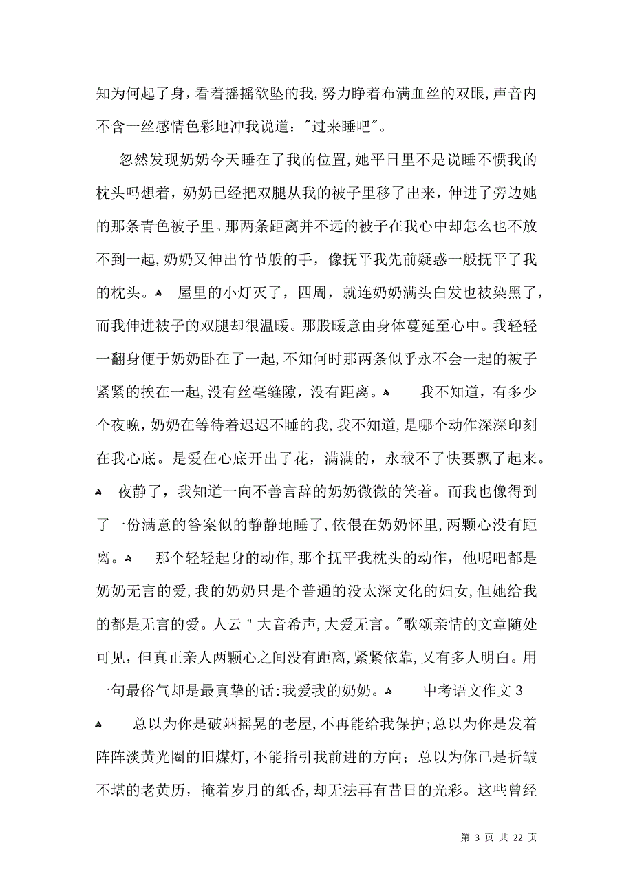 中考语文作文_第3页