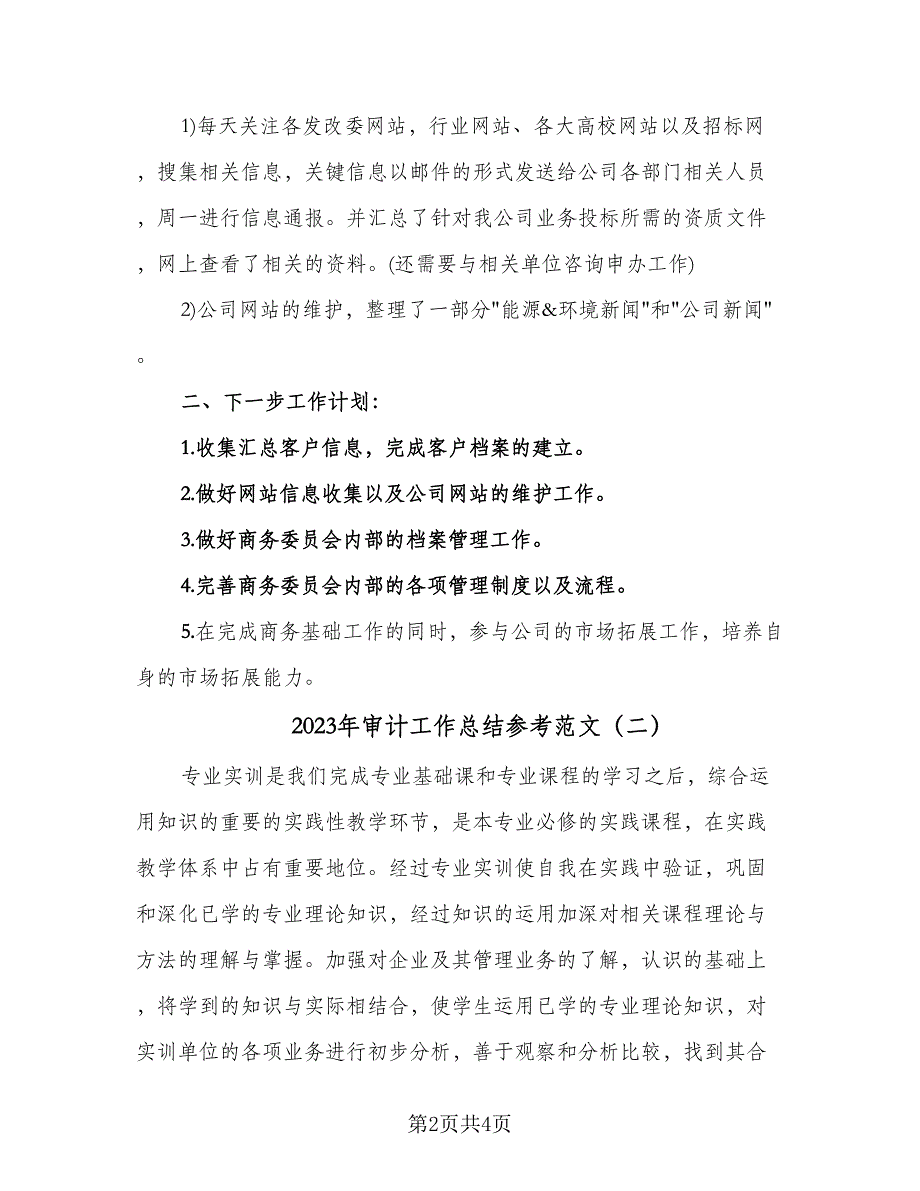 2023年审计工作总结参考范文（二篇）_第2页