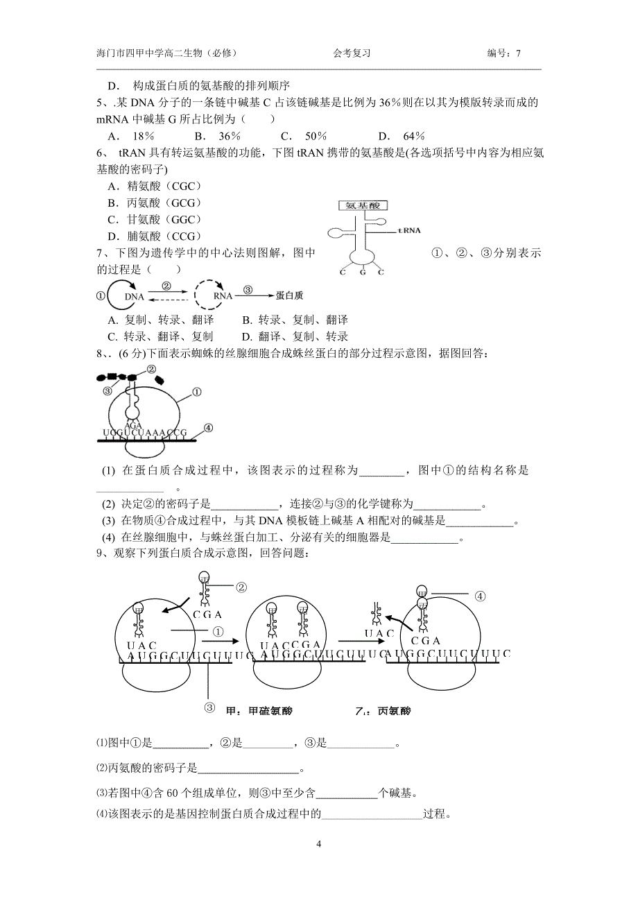 第7课时DNA的复制.doc_第4页