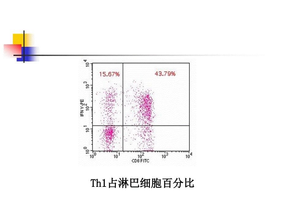 ChgODN的免疫刺激作用_第5页