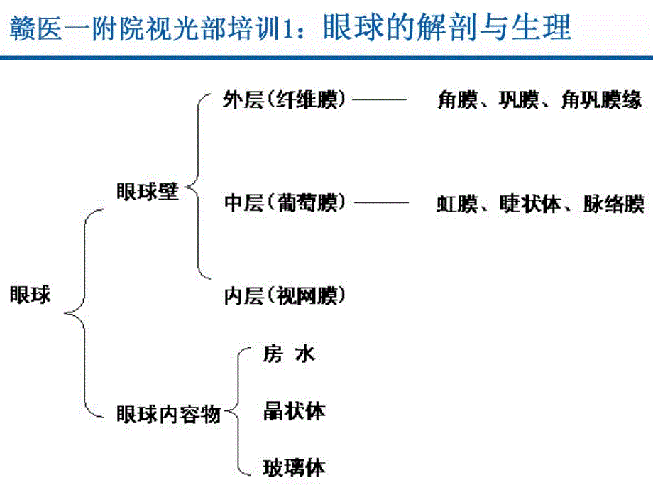 视光部系统培训1眼球结构课件_第3页