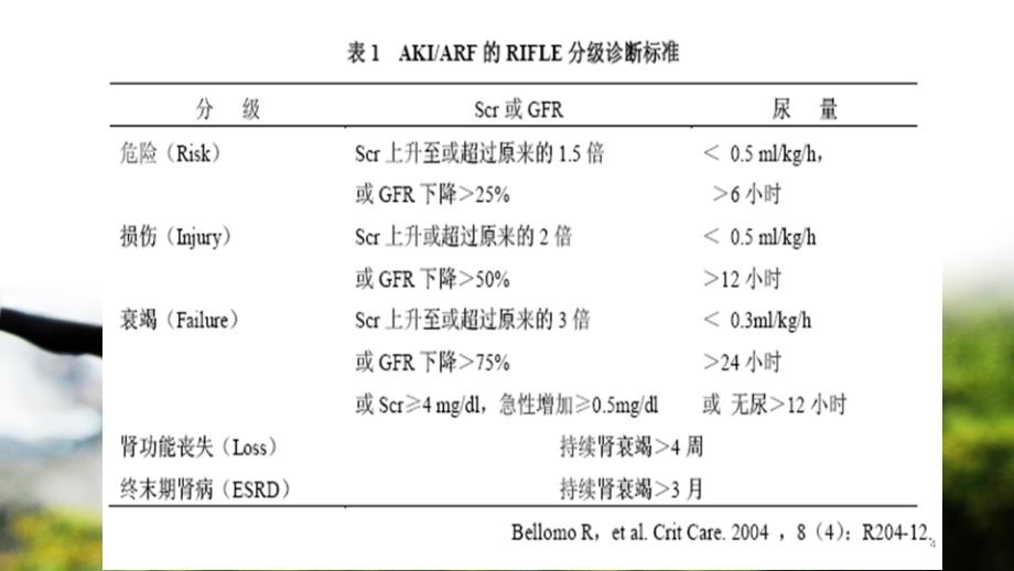 （优质课件）急性肾损伤的诊断及防治_第4页