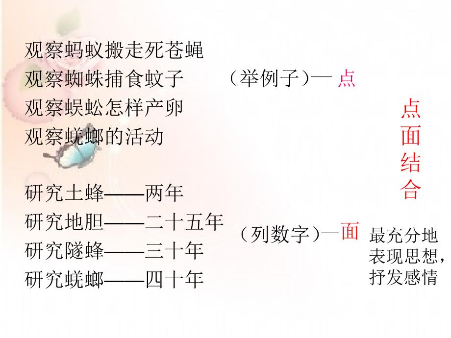 六年级语文上册《昆虫迷》课件2 语文A版_第4页