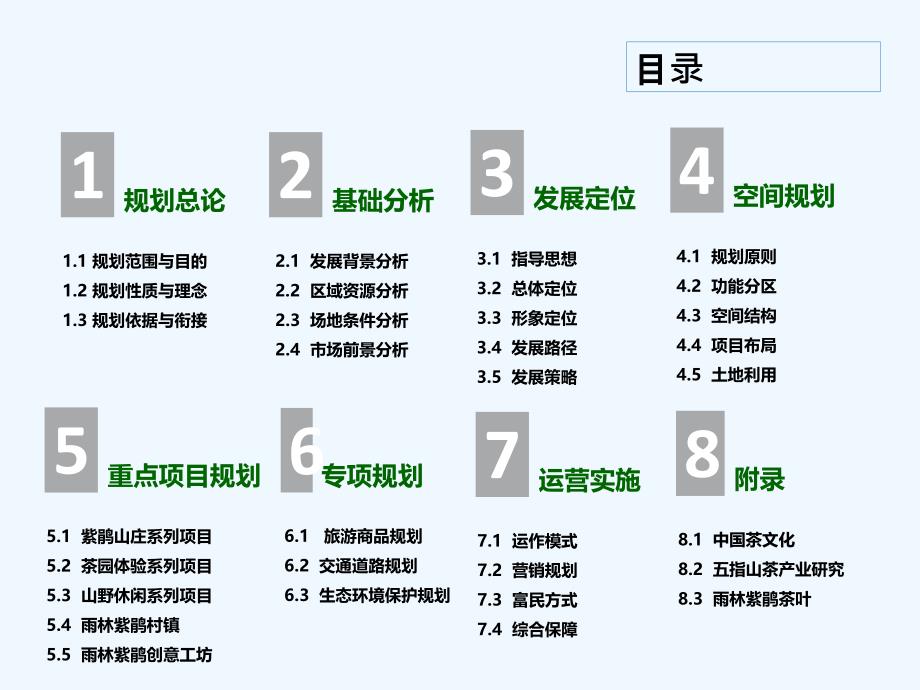 五指山市雨林茶乡扶贫规划设计_第1页