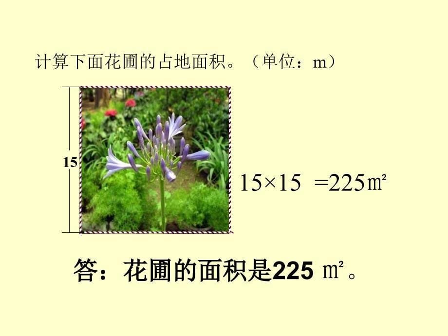 人教课标版三年下长方形与正方形的面积课件_第5页