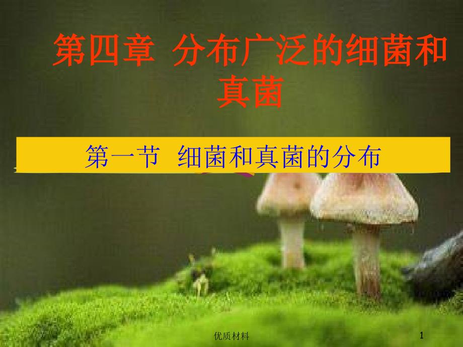 细菌和真菌的分布#上课课堂_第1页