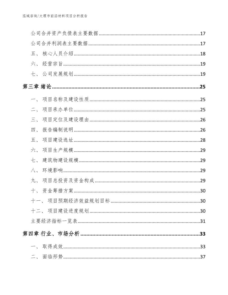 大理市前沿材料项目分析报告_范文参考_第5页