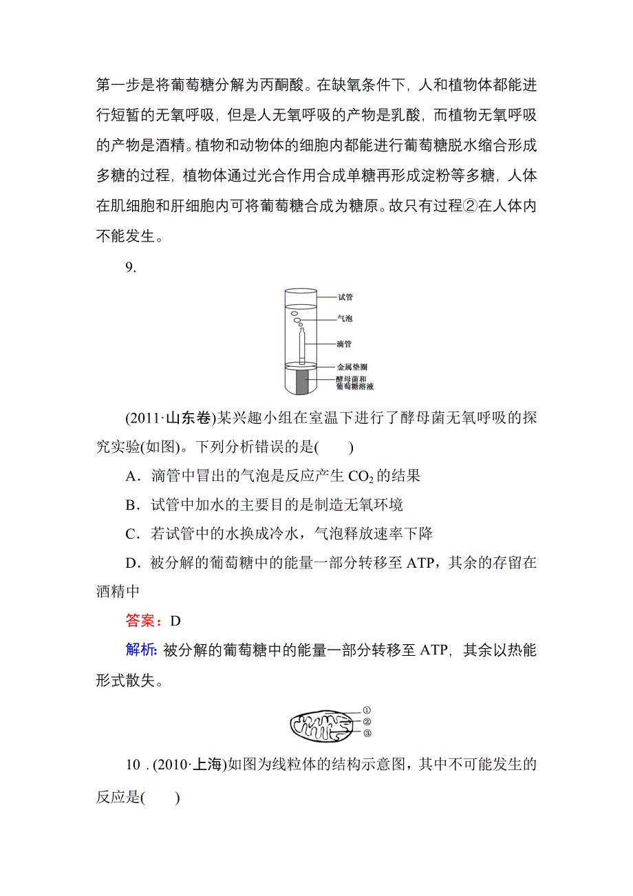 高一生物细胞呼吸课时练习题.doc_第4页