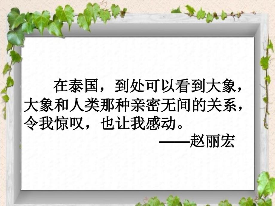 《与象共舞》_第3页