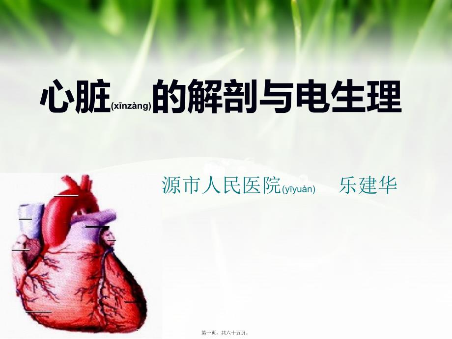 医学专题—心脏电生理--29873_第1页