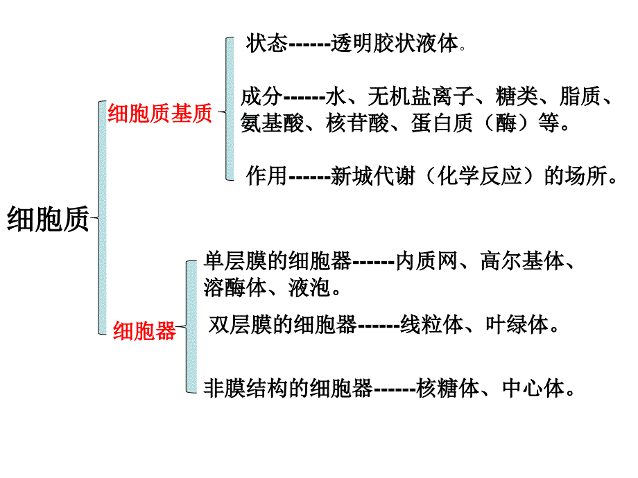 细胞器-系统内的分工合作.ppt_第4页