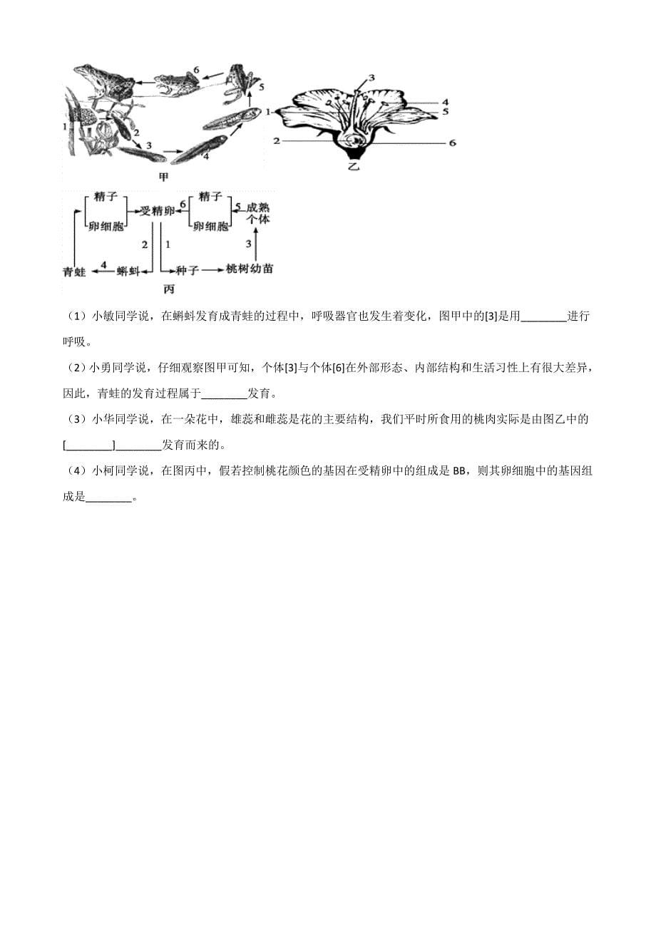 苏教版八年级下册生物复习题-第8单元-第二十一章-生物的生殖与发育(无答案)_第5页