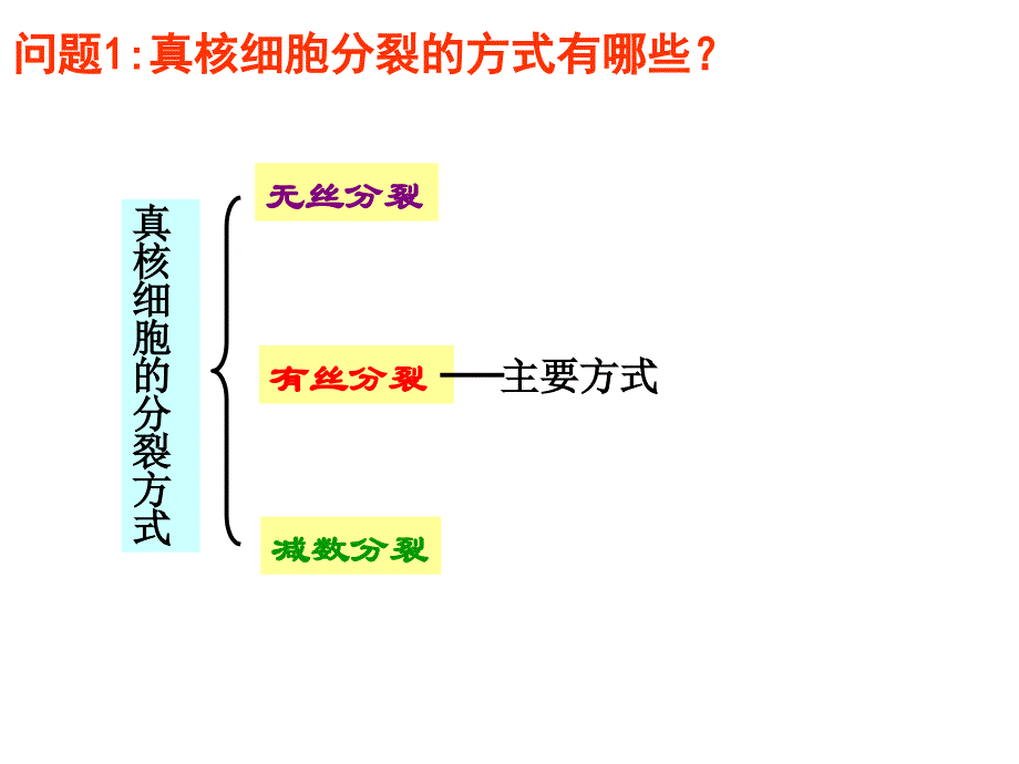 “细胞分裂”专题复习课件_第3页