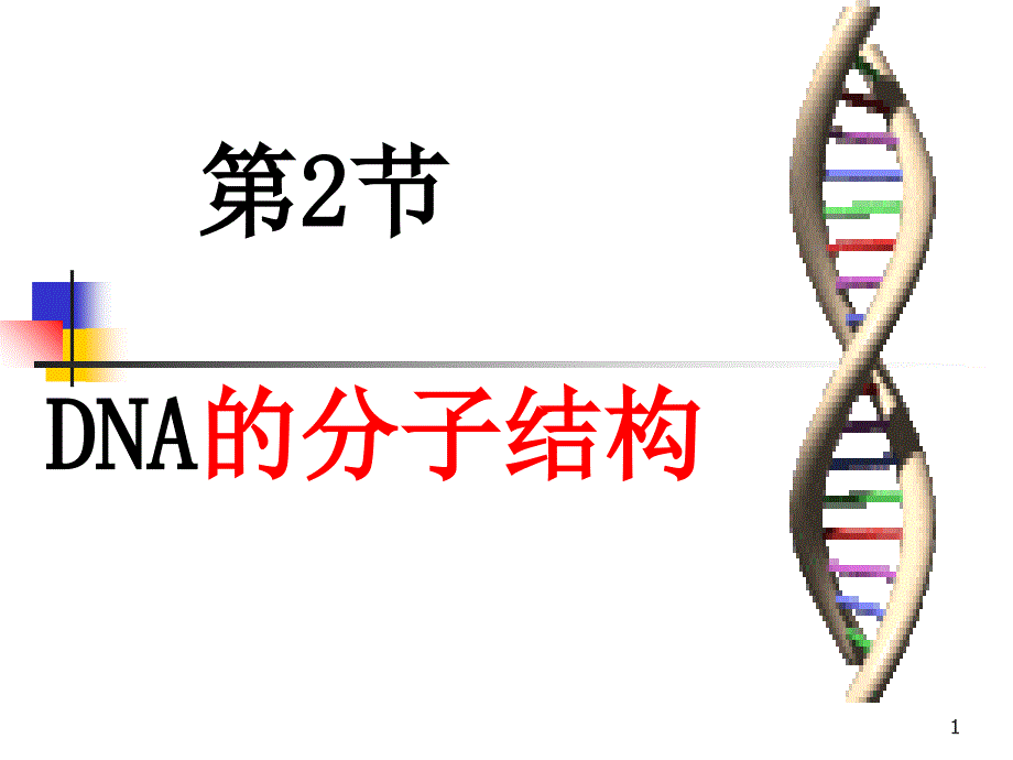 第二节dna分子结构_第1页