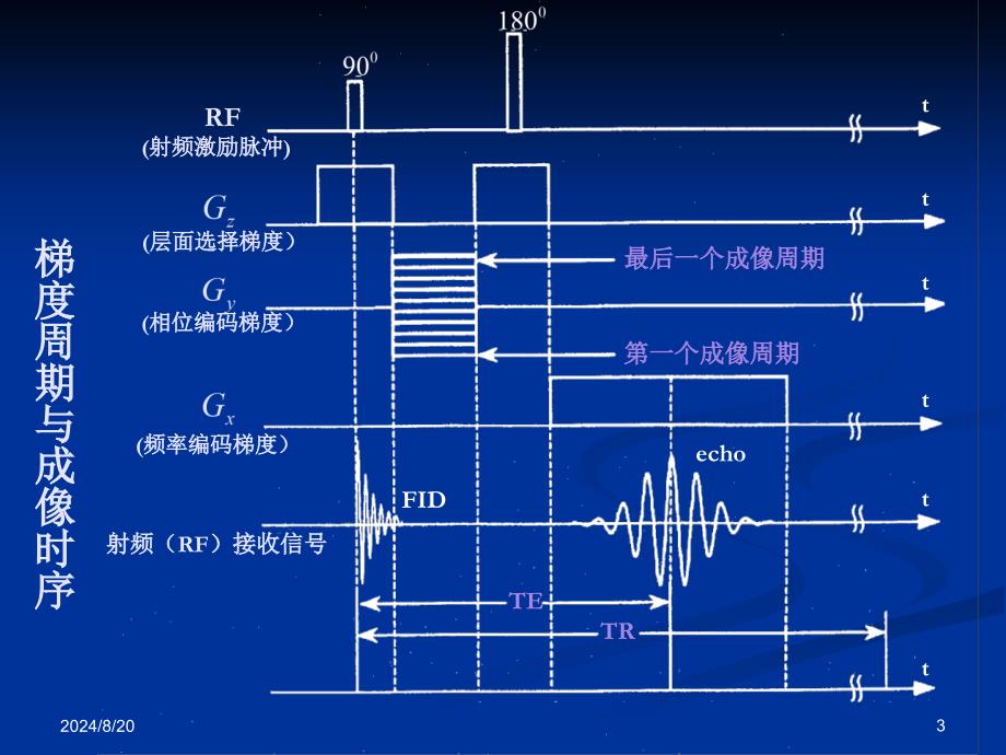 《磁共振成像基本脉冲序列》_第3页