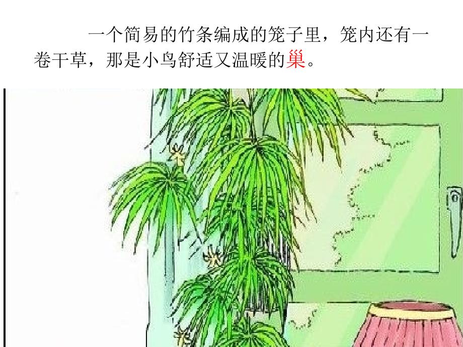 16珍珠鸟 (2)_第2页