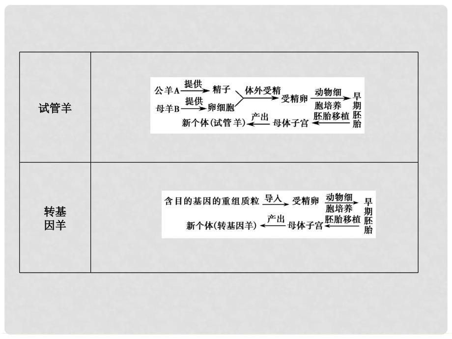 高中生物 专题整合3配套课件 新人教版选修3_第4页