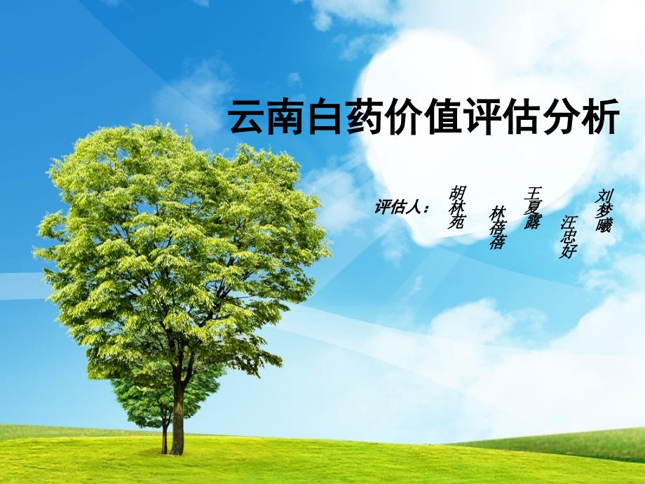 云南白药价值评估分析_第1页