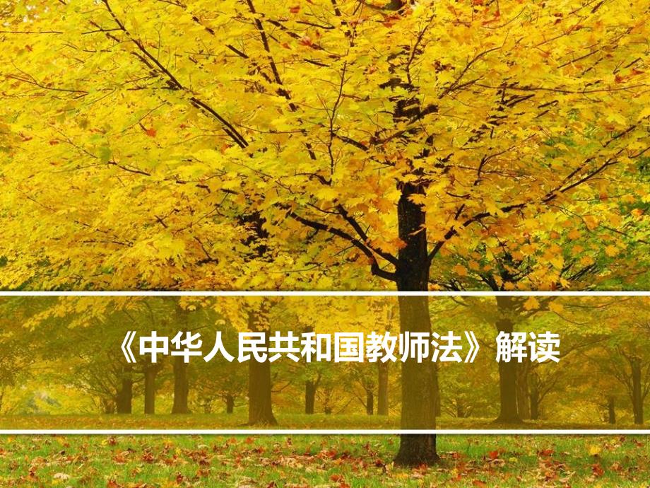 中华人民共和国教师法知识学习.ppt_第1页