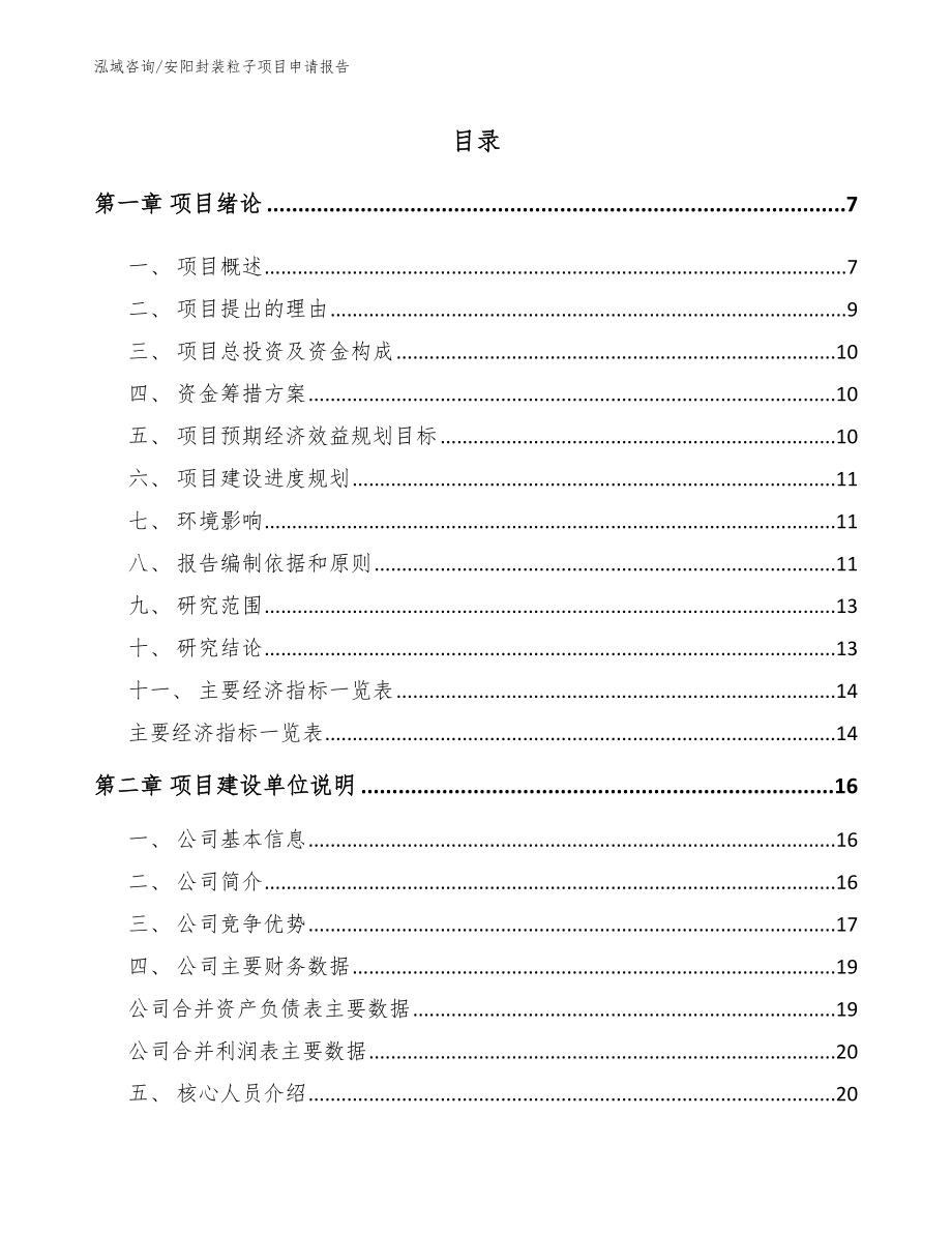 安阳封装粒子项目申请报告_第1页