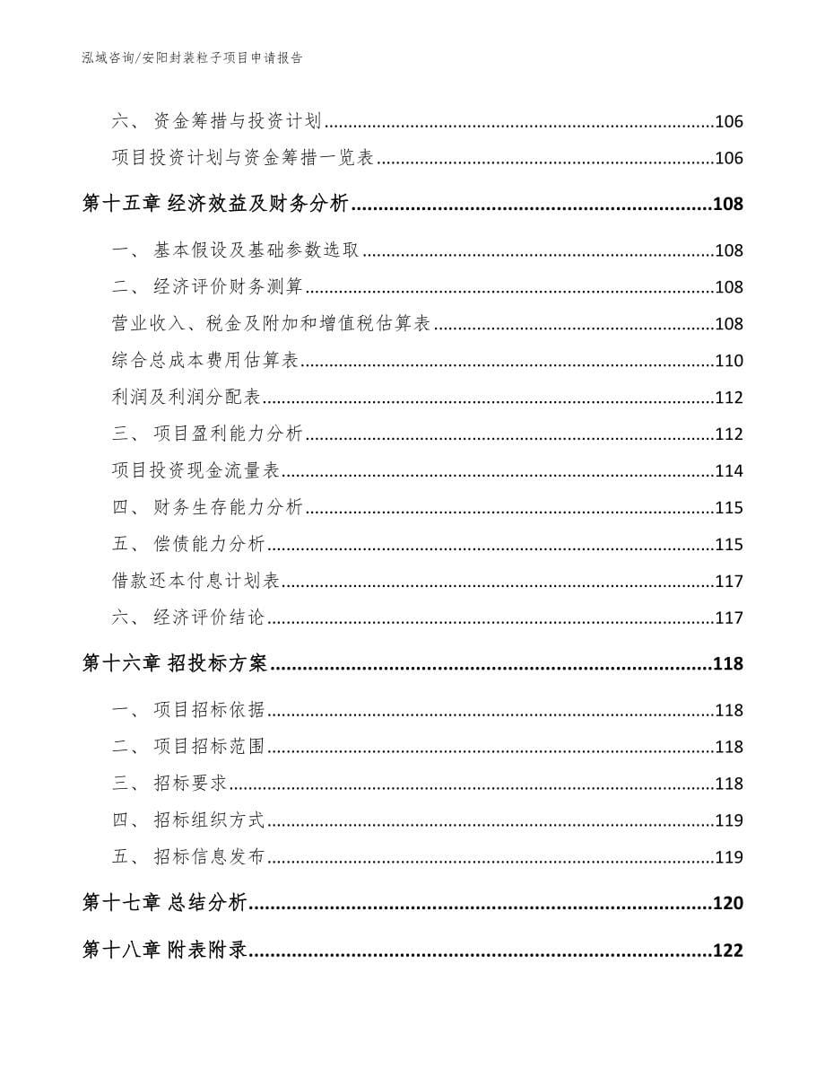 安阳封装粒子项目申请报告_第5页