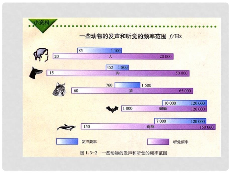 山东省邹平县实验中学八年级物理上册 1.3《声音的特性》课件 新人教版_第5页