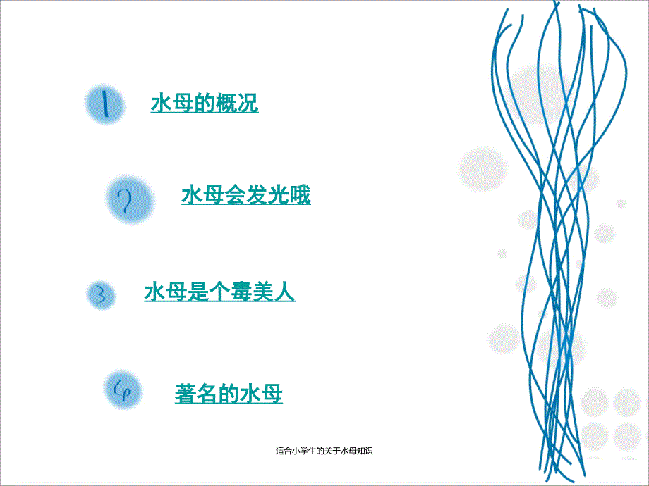 适合小学生的关于水母知识经典实用_第3页