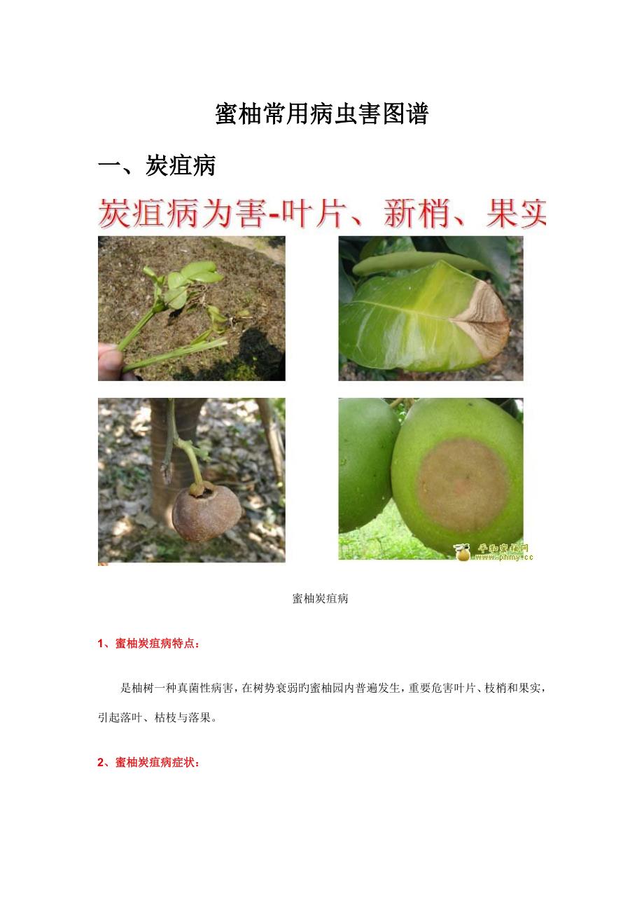 柚常见病虫害图谱及防治重点技术_第1页
