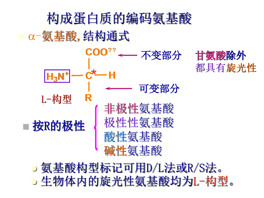 有机化学：第15章 氨基酸多肽和蛋白质_第2页