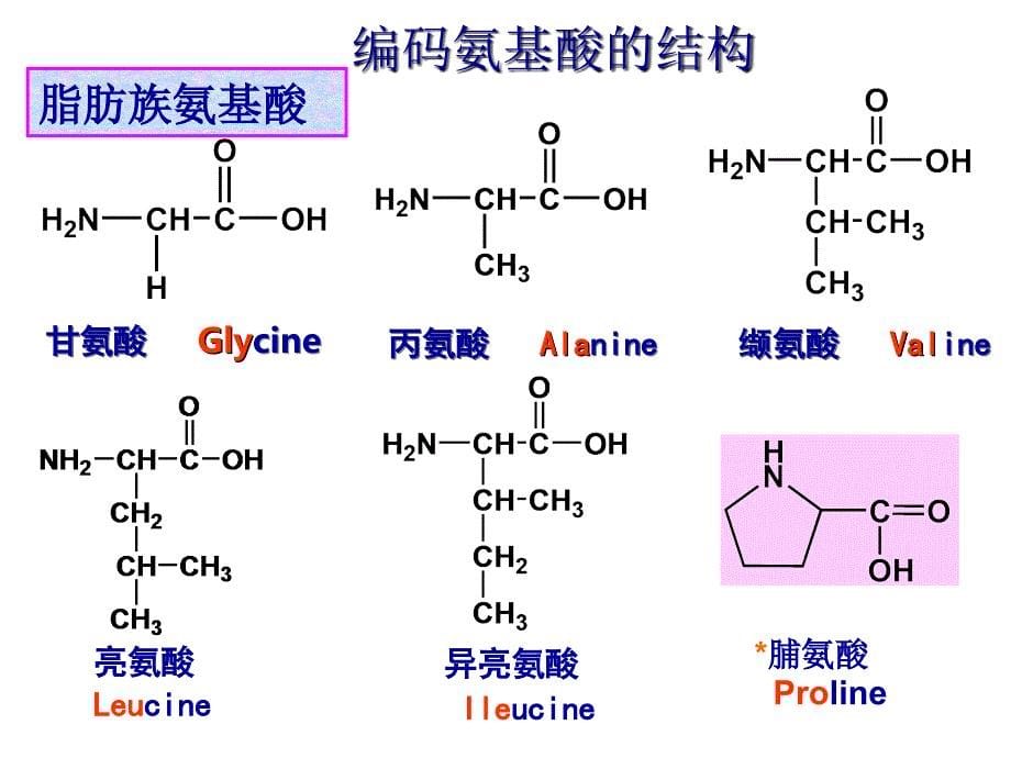 有机化学：第15章 氨基酸多肽和蛋白质_第5页