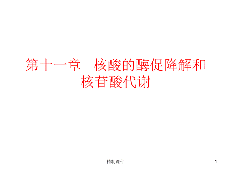 生物化学ppt第十章核酸的酶促降解和核苷酸代谢#精制课件_第1页