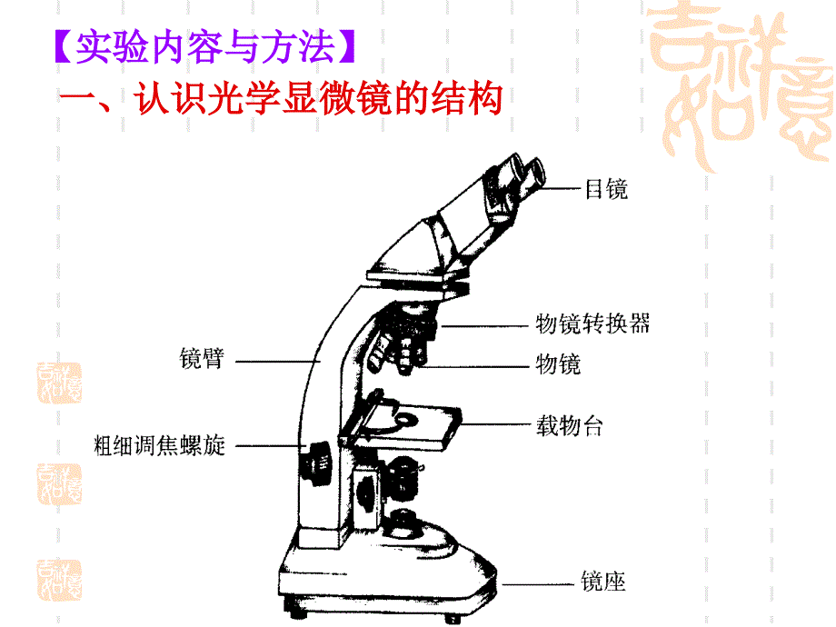 显微镜使用介绍课件_第2页