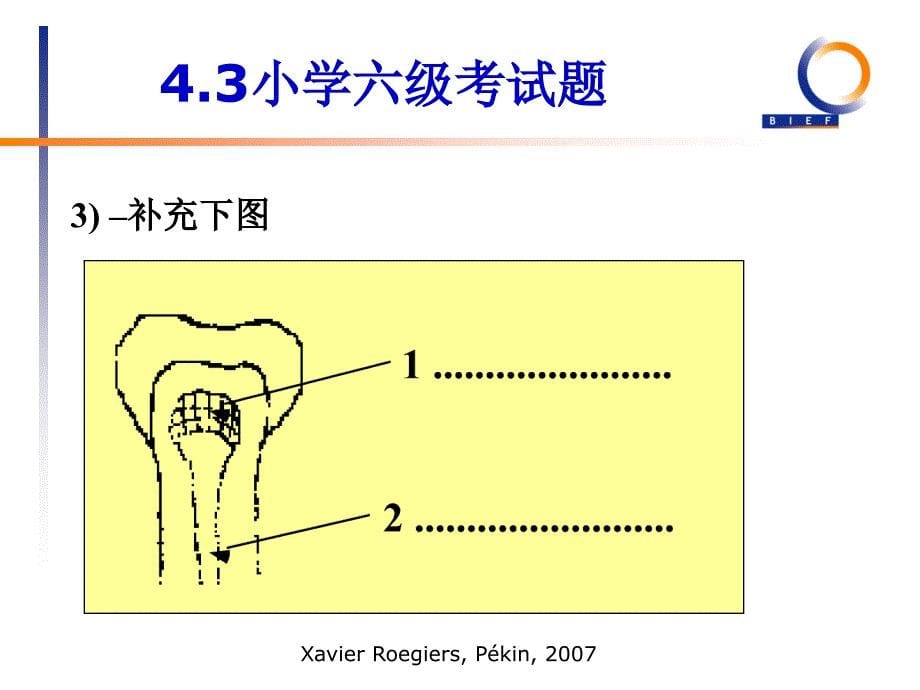 学生能力的评价_第5页