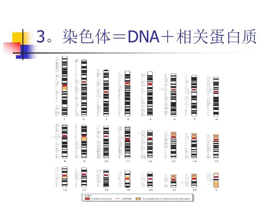 基因组测序流程介绍_第5页