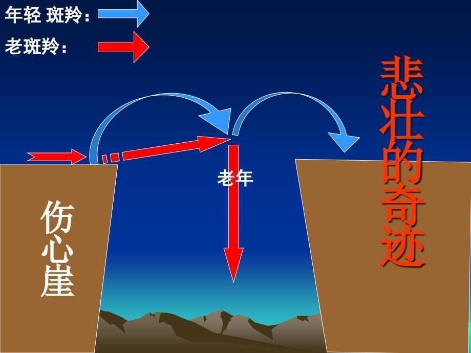 斑羚飞渡教学_第5页