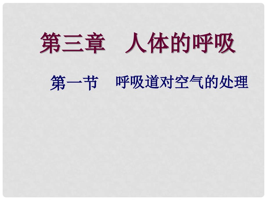 七年级生物下册 4.3.1 呼吸道对空气的处理课件2 （新版）新人教版_第1页