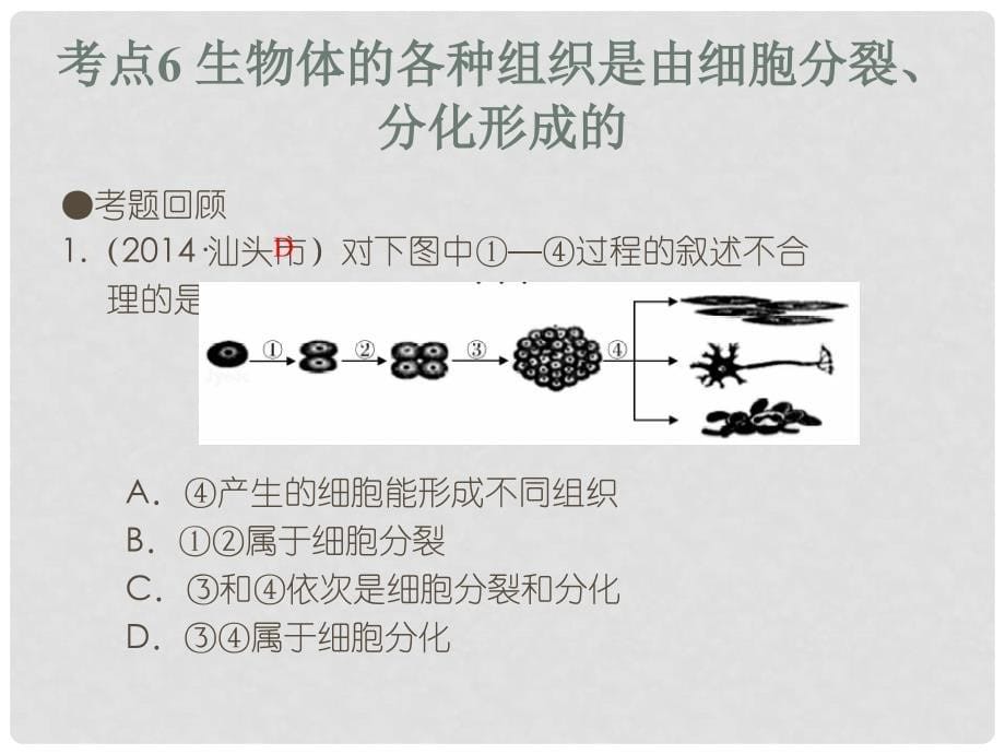 中考易（广东专版）中考生物 第2单元 考点6 生物体的各种组织是由细胞分裂、分化形成的课件 新人教版_第5页