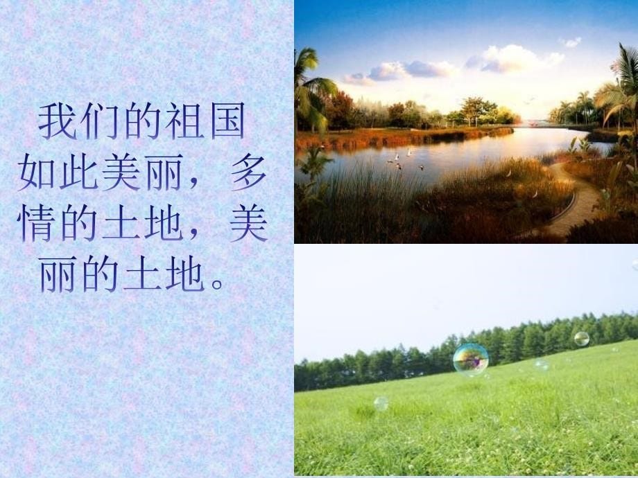 《多情的土地》课件1.ppt_第5页