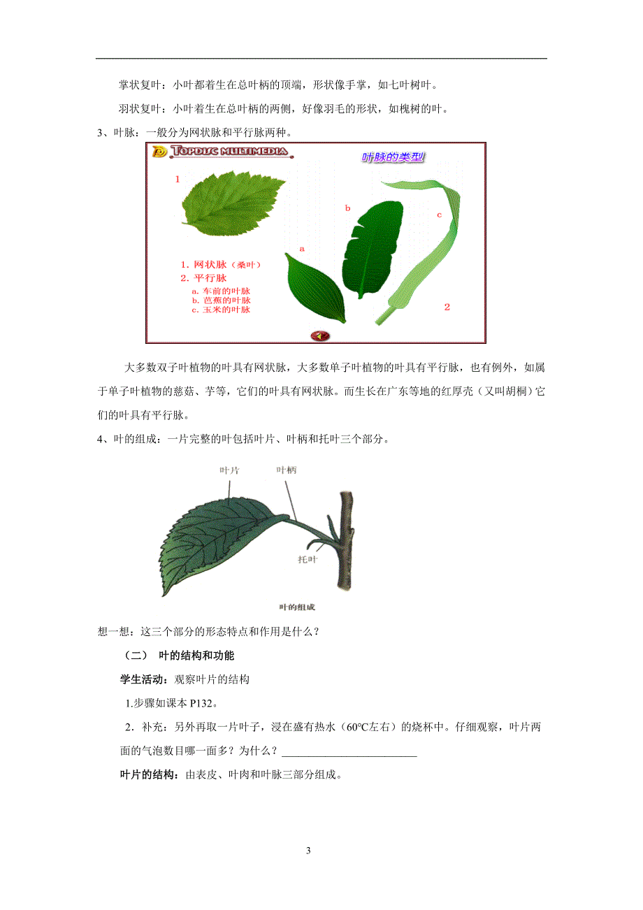 41绿色植物的营养器官三_第3页