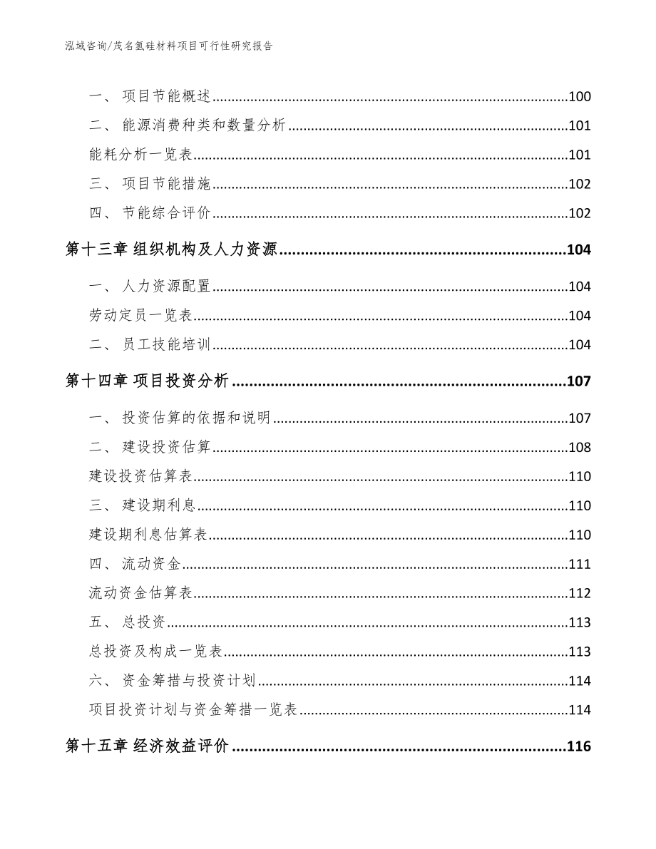 茂名氢硅材料项目可行性研究报告（模板范文）_第4页