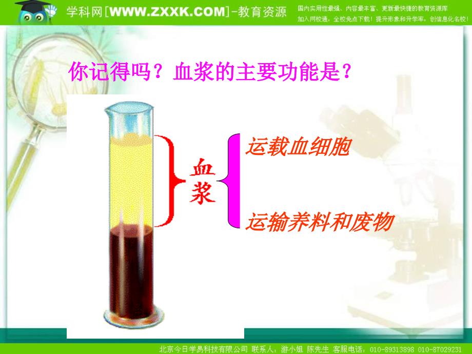 人体内物质的运输_第4页