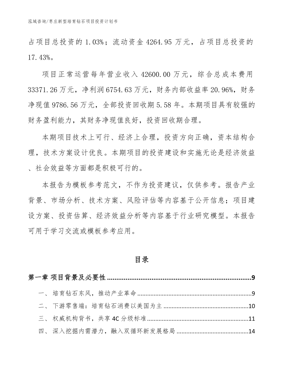 枣庄新型培育钻石项目投资计划书_第2页